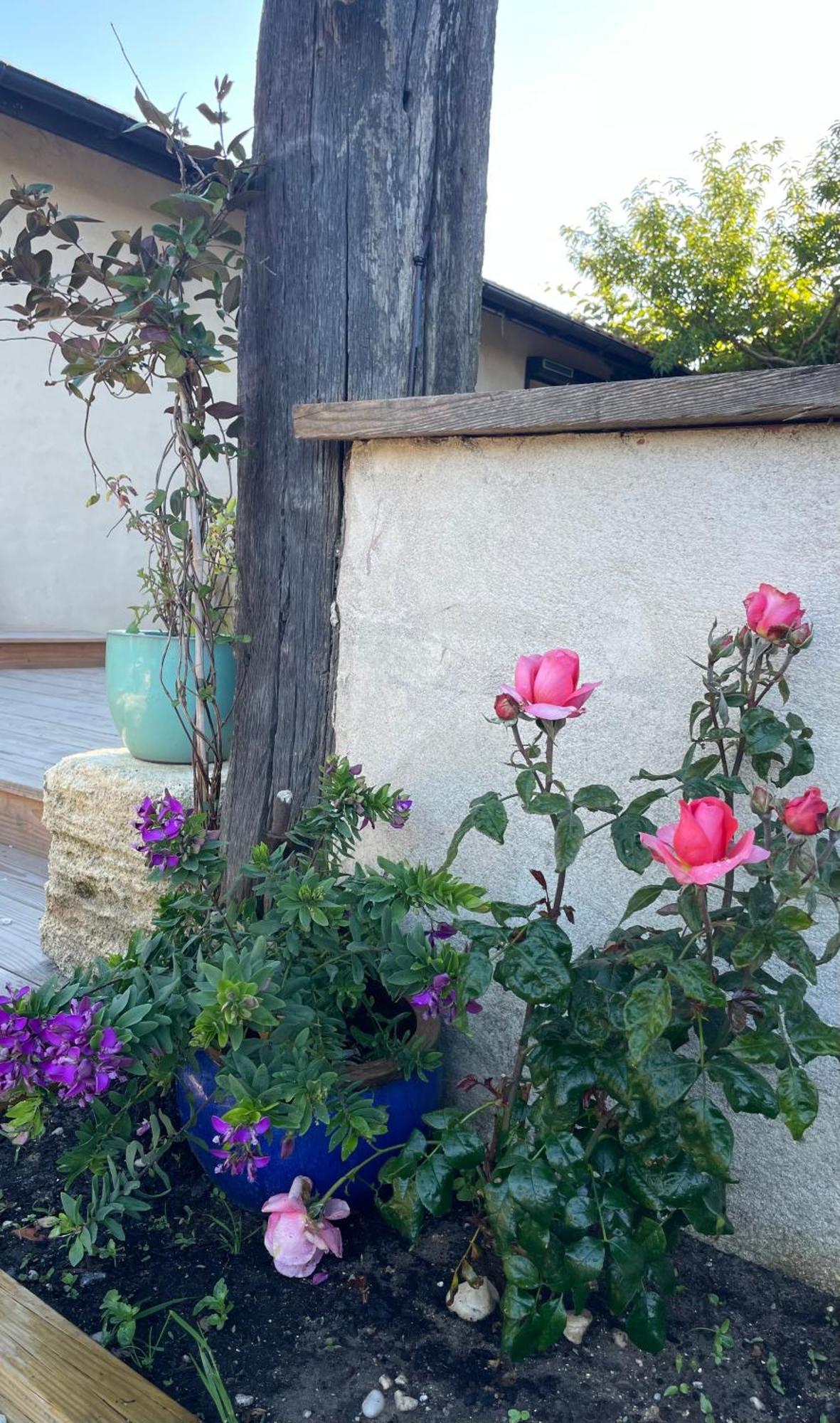 Bed and Breakfast Instant Zen Saint-Vivien-de-Médoc Exteriér fotografie